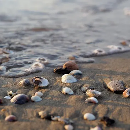 Warm And Bright In Near The Sea * Bibione