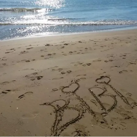 Warm And Bright In Near The Sea *